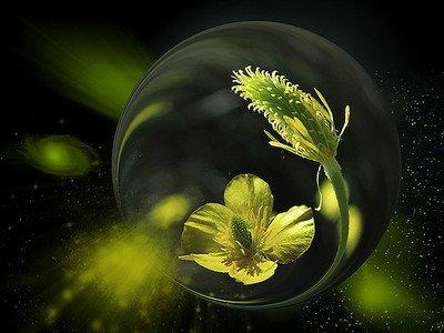 老好人是什么意思，老好人的定义是什么（别成为职场中的“老好人”）