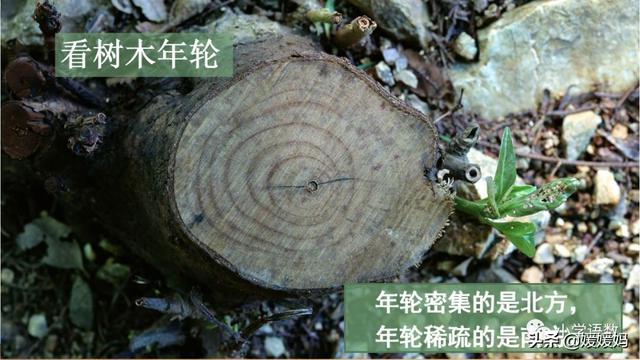 野外辨别方向的方法有哪些，野外辨认方向的6种方法（二年级下册语文17《要是你在野外迷了路》图文详解及同步练习）