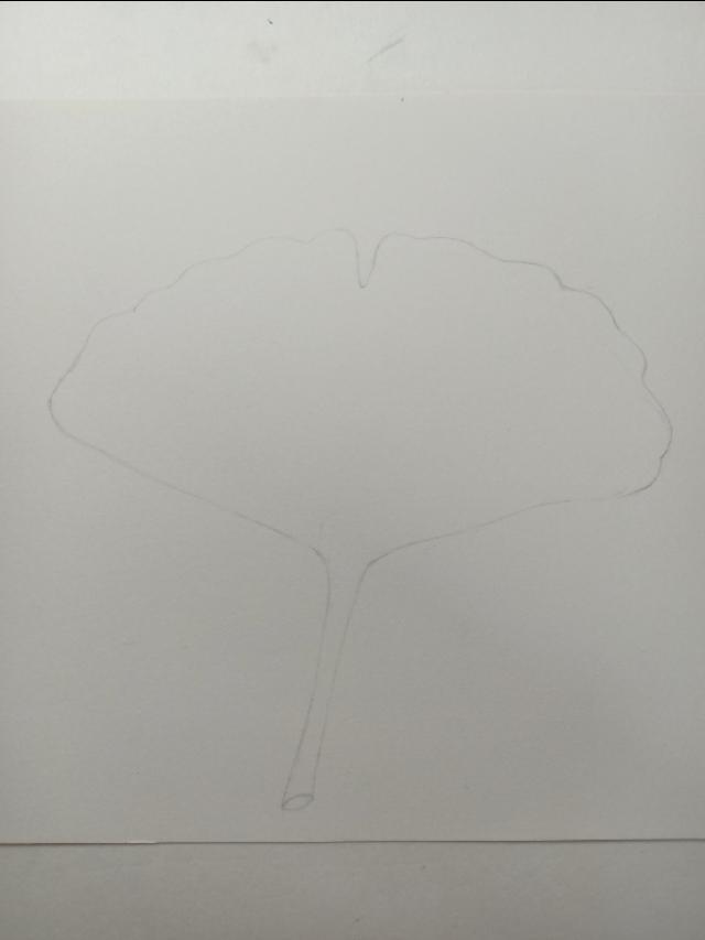 怎么画银杏树，怎么画银杏树叶视频（彩铅画/简简单单一片银杏叶）