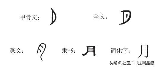 月的笔顺，月的笔顺图片（规范字书写要点归纳）