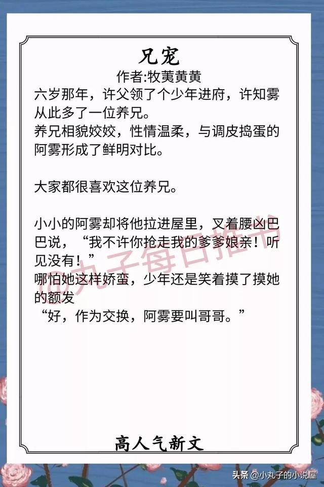 极品纨绔左妻右妾，官二代类的小说官越大越好（《兄宠》《丑妾》《小公爷打脸日常》超赞）