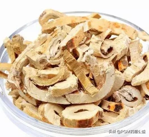 桑科植物有哪些，桑科植物有哪些种类（一身是宝话桑树）