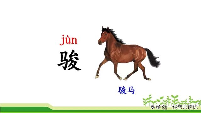 什么的骏马填空成语，什么的骏马填合适的成语（部编版小学语文二年级上册《语文园地七》重点知识+图文解读）