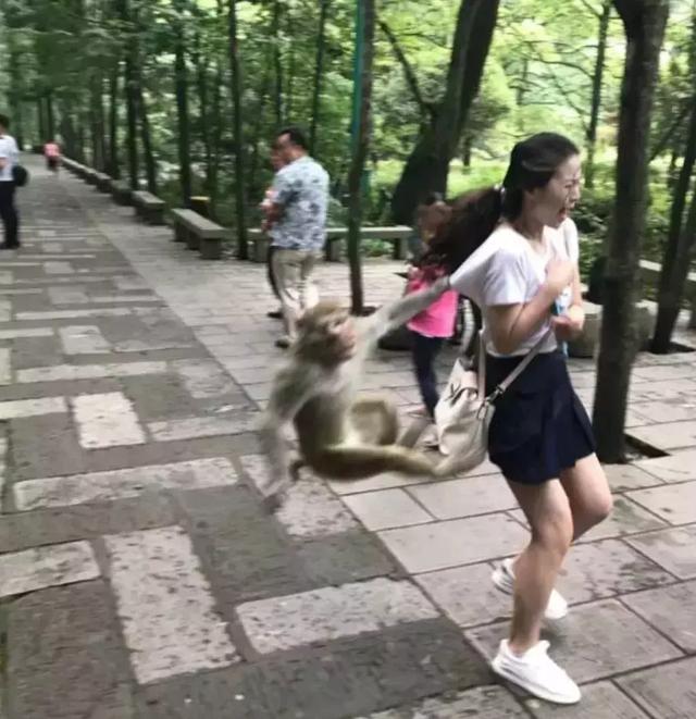 遇到心机girl怎么办,碰上心机女该怎么做(我家兵哥把我宠上天了) 遇到心机girl怎么办,碰上心机女该怎么做(我家兵哥把我宠上天了)
