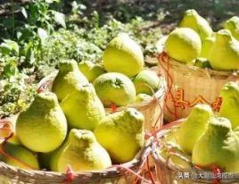 广东省有多少个地级市，广东省有几个市_广东省有几个市和区县_广东省有几个市分别是（每个城市都有不同的特点）