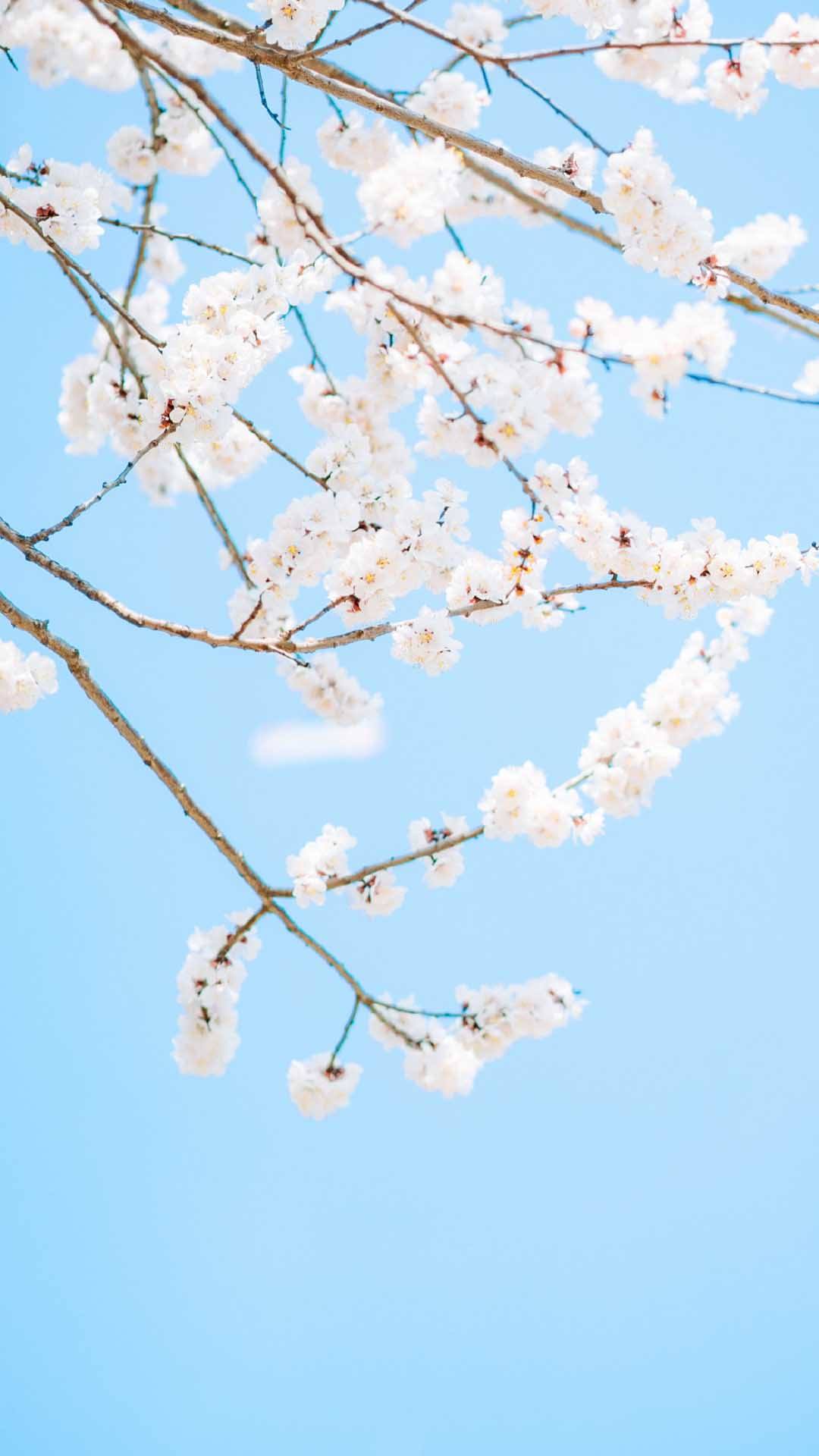 阴郁的意思,【表达能力】表达情绪的500个词汇 - 玉三网