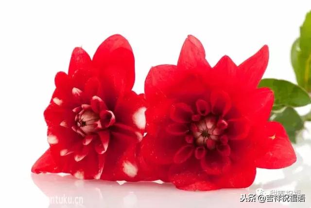 同事退休祝福语，给退休同事的祝福语2022（退休三气、三有、三乐……句句入骨）