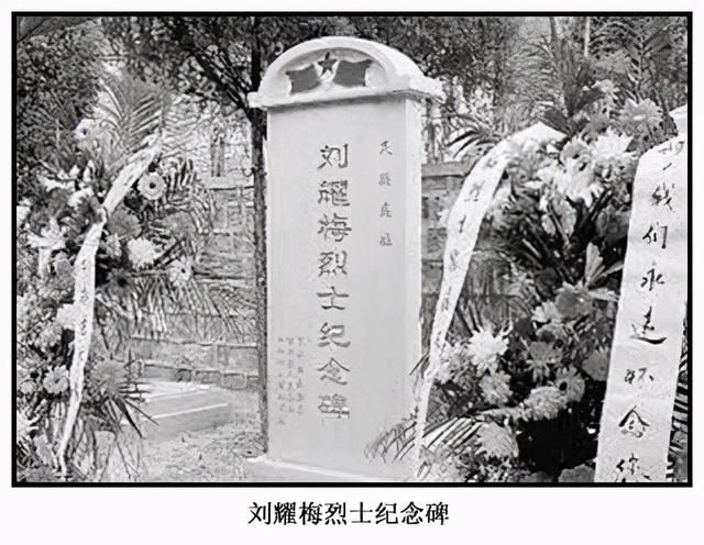 红岩主要人物介绍，红岩主要人物有哪些（为什么不把她救出来）