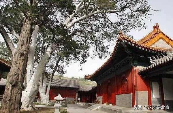 北京什么地方好玩，北京有什么好玩的地方（我私藏的北京16个小众又好玩的地方）