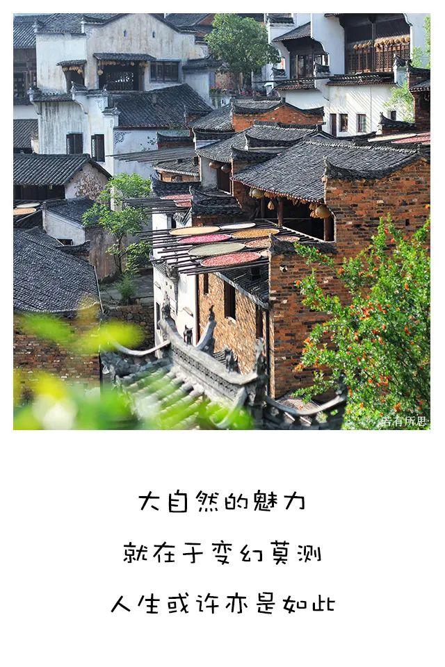 喜欢秋天的理由，我为什么喜欢秋天（秋天最像人生）