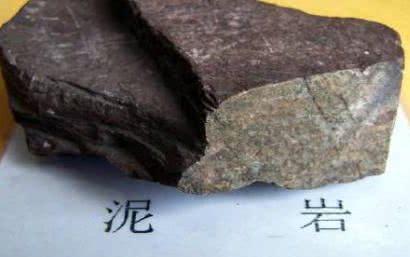 常见的四种变质岩，常见的变质岩有哪些（地质工作者野外必备技能）