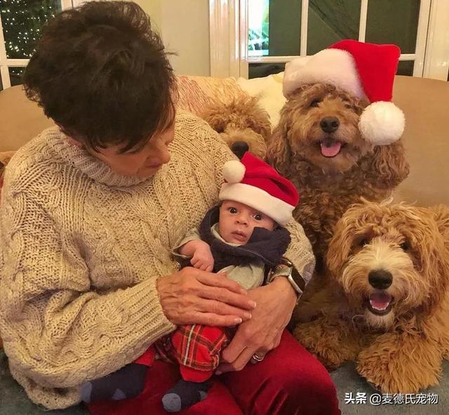 泰迪熊抱抱熊，一出生就有三个巨型“泰迪熊”陪睡（泰迪熊抱抱熊适合结婚送么）