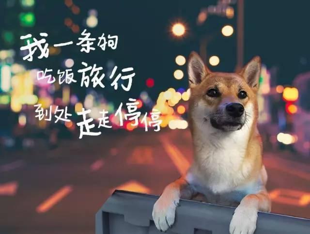 丽春院（丽春院头牌，《金瓶梅》贲四嫂风情迎西门（丽春院在线网址）