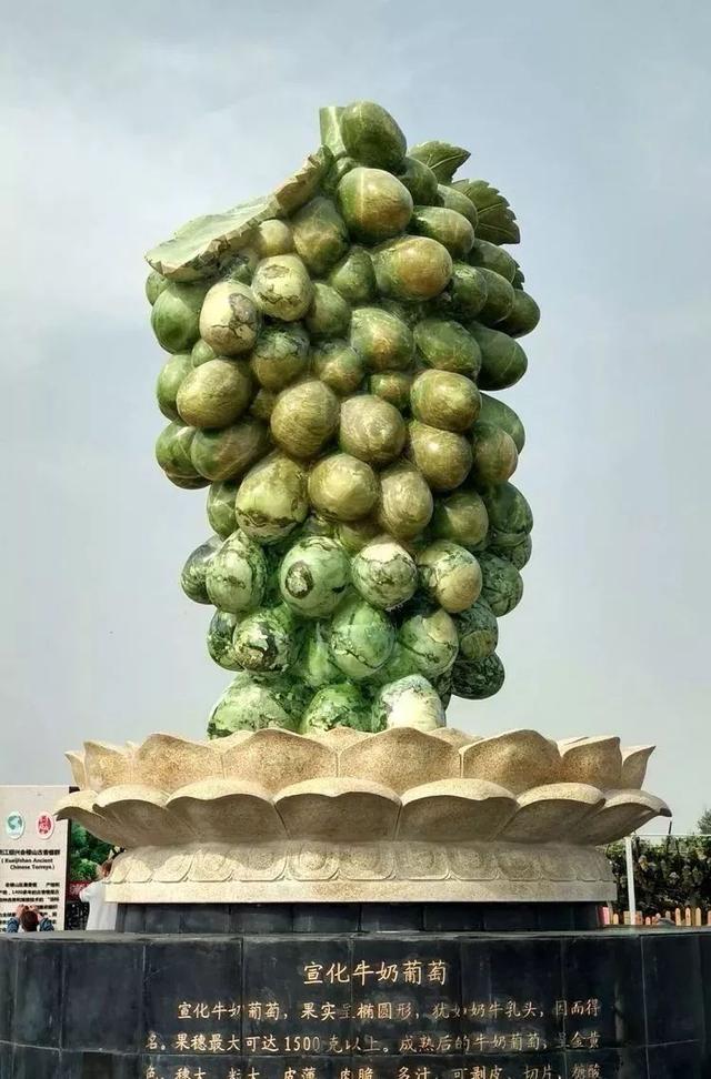 葡萄的产地是哪里，葡萄的产地是哪里喜欢的原因（请认清这5个产地）