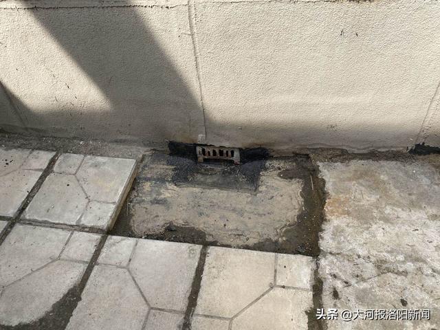 发霉的房间住一天对人的影响，除霉的最好方法（洛阳东方今典天汇中心居民看到屋内这一幕惊了）