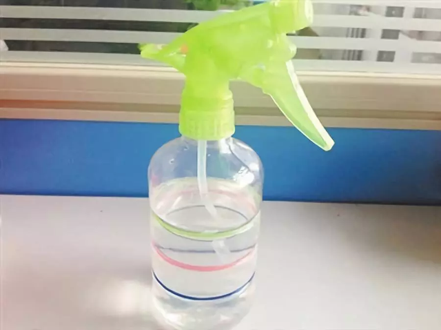 家里有虫子怎么办能除根，家里有虫子怎么除根（养花最怕遇到4种虫害）