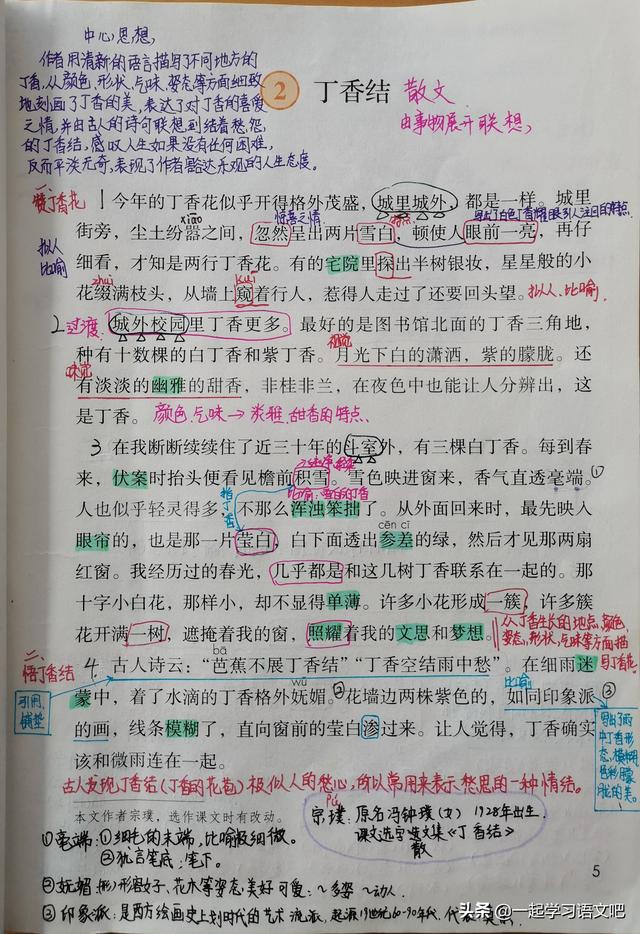 芭蕉不展丁香结，芭蕉不展丁香结的意思是什么（思考作者感悟到了怎样的人生真谛）