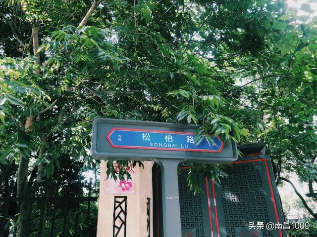 松柏巷里万家人，松柏巷带给我们的满足（南昌电视剧松柏巷里万家人）