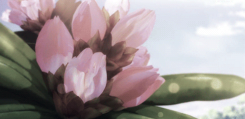 december什么意思,december缩写(mayday可不是"五月天")