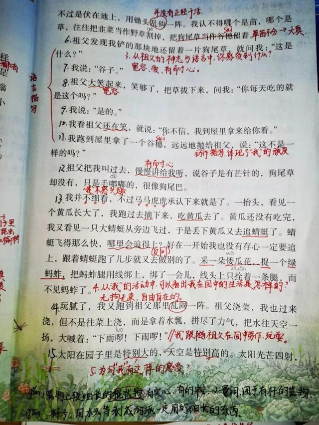 祖父的园子主要内容，祖父的园子课文内容简述（五年级语文下册第二课《祖父的园子》课文笔记和知识点）