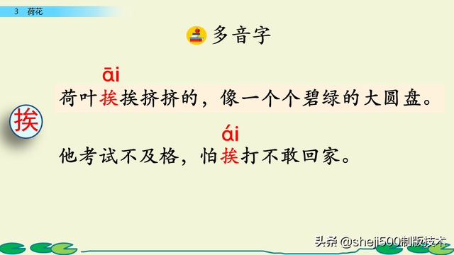 莲蓬的蓬是不是读轻声，莲蓬的蓬为什么读轻声（部编版语文三年级下册第3课《荷花》图文讲解）