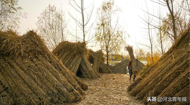 白洋淀冬天的生活，只有60来岁的人才会做……