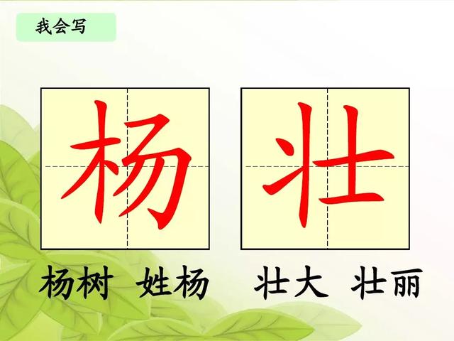 汉字松的组词，松的组词（部编版二年级语文上册识字2《树》知识点+图文解读）