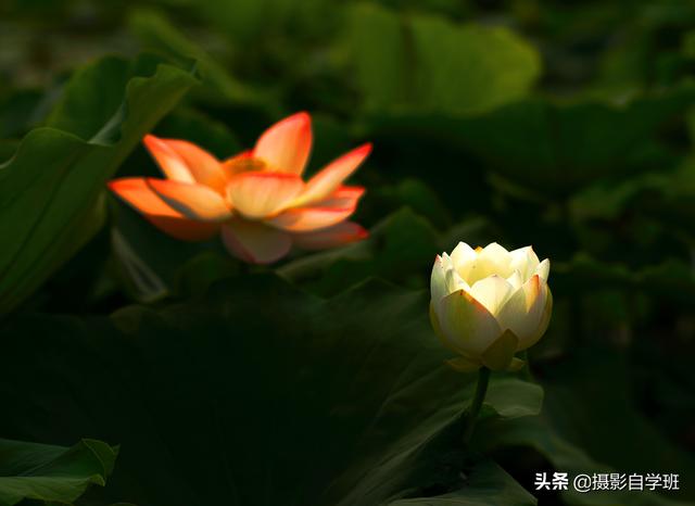 ps如何修图，ps如何修图美化证件照（变成不简单照片）