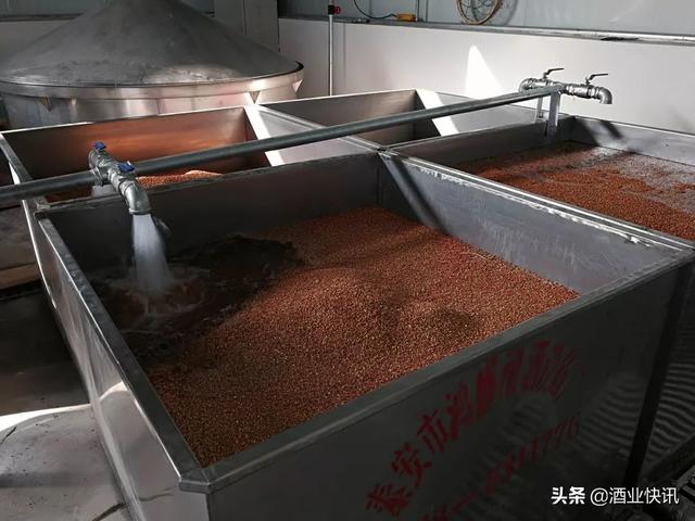 烧酒的度数一般是多少，白酒知识酒的度数