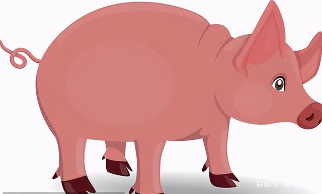 尾巴怎么读，polya尾巴怎么读（一年级《6比尾巴》教师笔记）