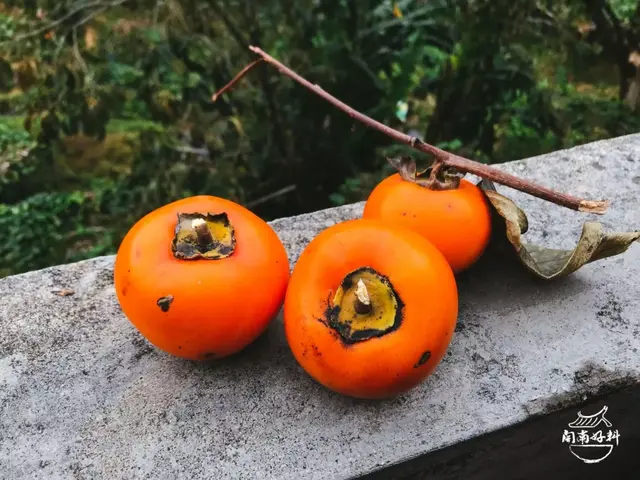 猪头皮怎么炒，猪头皮怎么炒不腻（过后，我们一起去吃泉州的好料）
