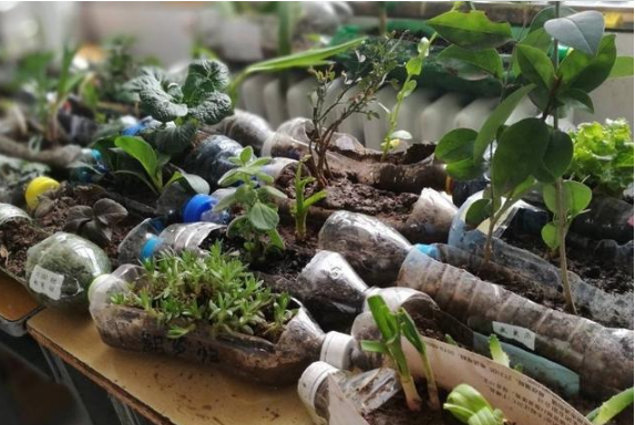 自制超大的种菜盆，阳台种菜盆简单自制（剪剪变成“种菜盆”）