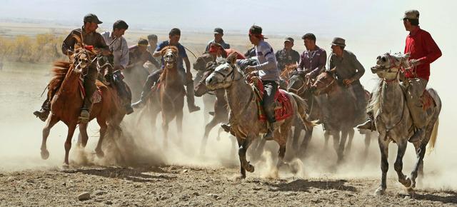 用马字组词有什么，马字组词还有什么（拍马“留序”摄影浅谈）