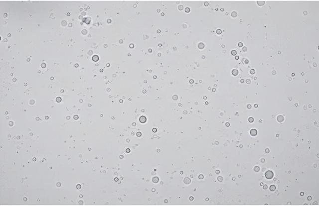 二氧化硅的结构式，二氧化硅的结构式怎么画（二氧化硅在化妆品中的妙用）