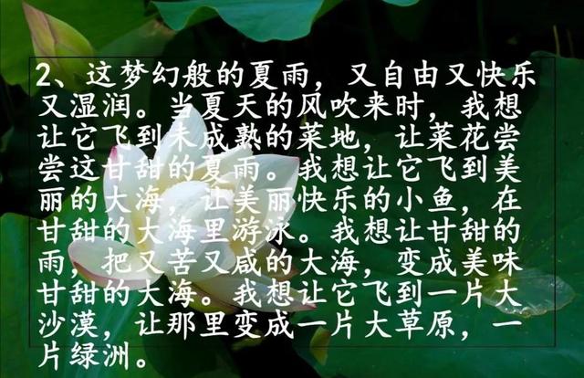 夏天的词语有哪些，描写夏天的词语有哪些（素材积累《描写夏天的好词、好句》）