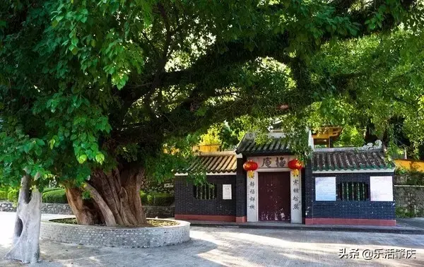 肇庆市各区面积排名，肇庆哪个县最大，哪个县最小
