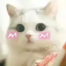 粉底液rmk是什么牌子，RMK粉底液色号（推荐10款适合春夏季的日系粉底液）