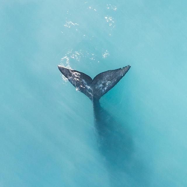 好看的图片，好看的图片 可爱 仙气头像（一些特别好看的图）