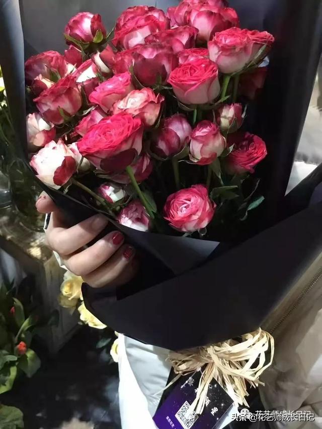 多头玫瑰花语，多头玫瑰花语是什么（白红交融的高级配色）