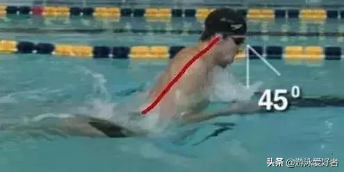蛙泳的正确姿势,蛙泳的正确姿势和换气(蛙泳正确的头部动作) 蛙泳的正确姿势,蛙泳的正确姿势和换气(蛙泳正确的头部动作)