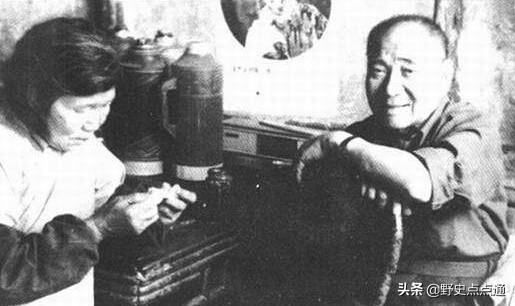 伪装者演员表介绍，伪装者演员表介绍于曼丽（靳东《伪装者》：历史上的明楼）