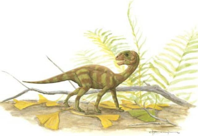 恐龙最早出现在什么时代，恐龙最早出现在什么时代中（关于恐龙你可能不知道的事实）