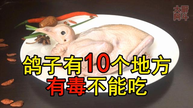鸽子喜欢吃什么，家养的鸽子吃什么（23年一级大厨专业详细讲解）