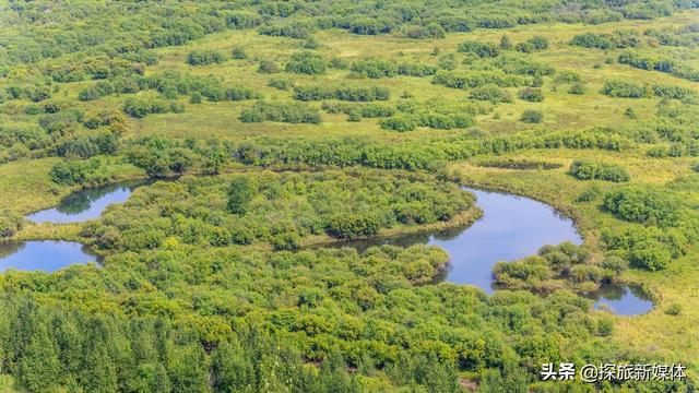 中国第一大湿地在哪，中国几大湿地（号称“亚洲第一湿地”）