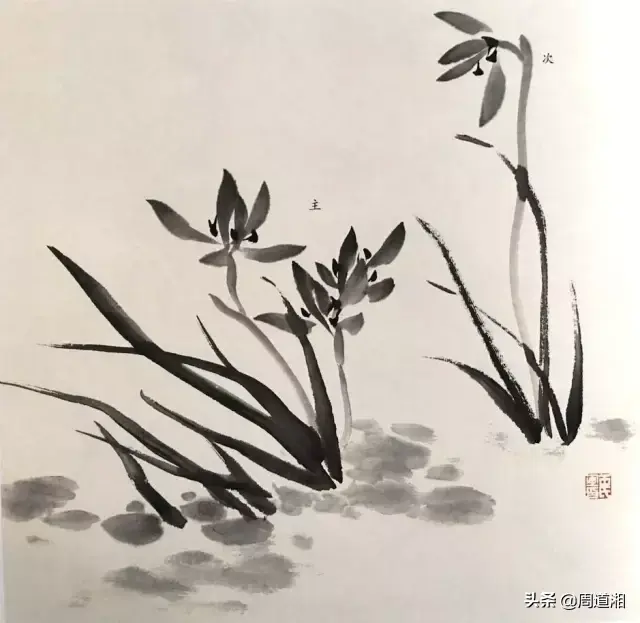 草的简笔画怎么画，猪笼草的简笔画怎么画（兰草的画法）