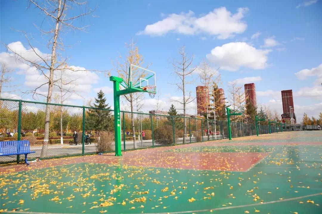 辽宁中医药大学杏林学院(辽宁中医药大学杏林学院全国排名) - 中职