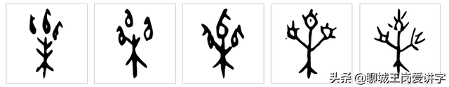 栗米是什么，栗米是什么本（“粟”和“栗”各指什么）
