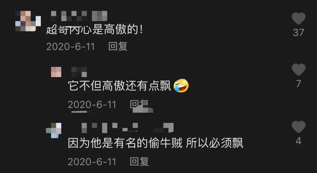 年轻人积极向上从毛家超的小视频里出来比比更确信了一点我还是更喜欢