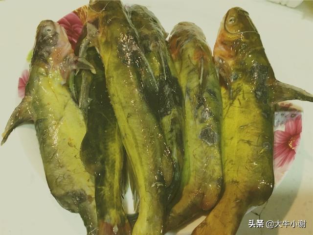 嘎牙子魚的做法,嘎牙子魚怎麼做(東北三花五羅十八子中的嘎牙子)