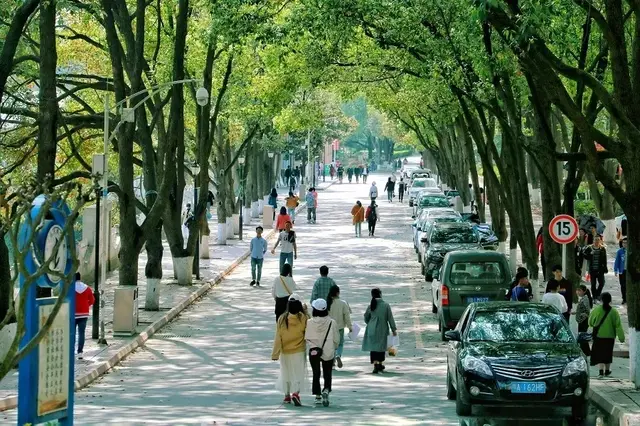 九州职业技术学院2019年招生章程，今年还要进行高职单招